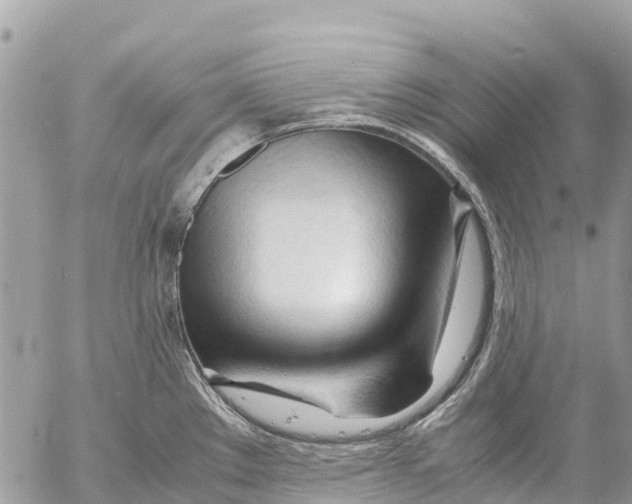 X0000053091289200508081301