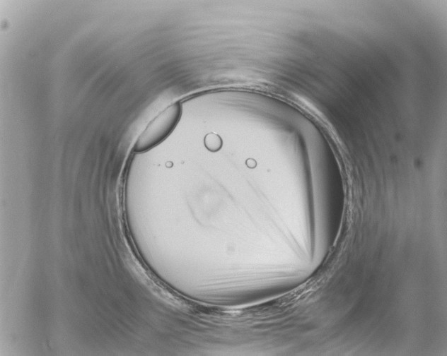 X0000053091291200508081301