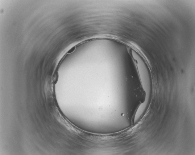 X0000053091292200508081301