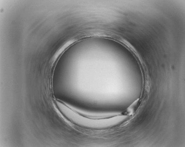 X0000053091293200508081301