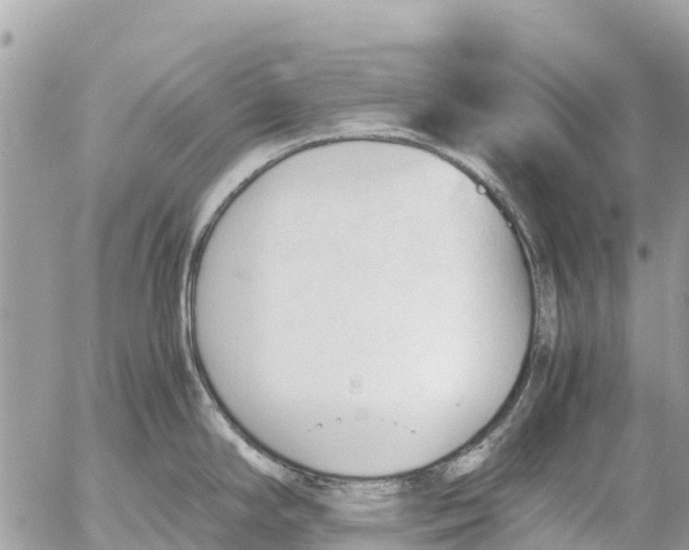 X0000053091294200508081301