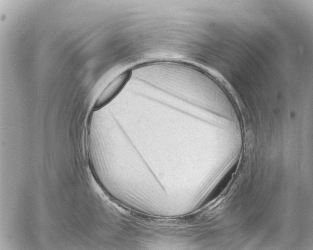 X0000053091295200508081301