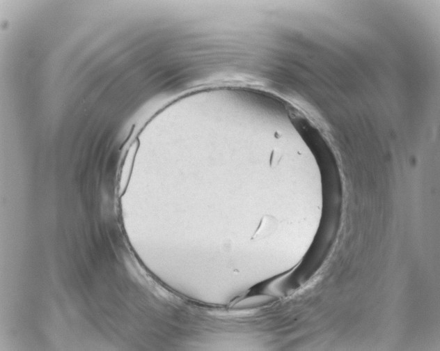 X0000053091296200508081301