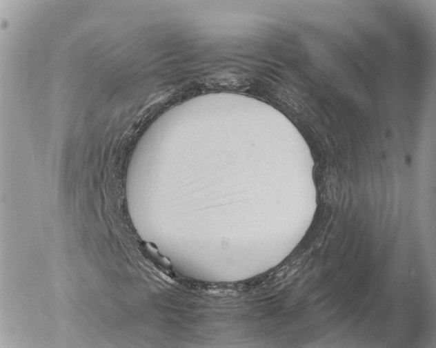 X0000053091297200508081300