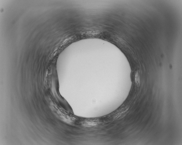 X0000053091299200508081300