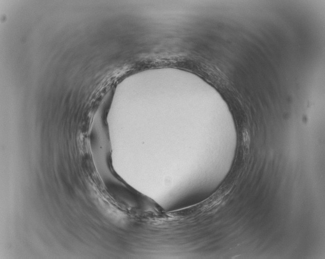 X0000053091300200508081300