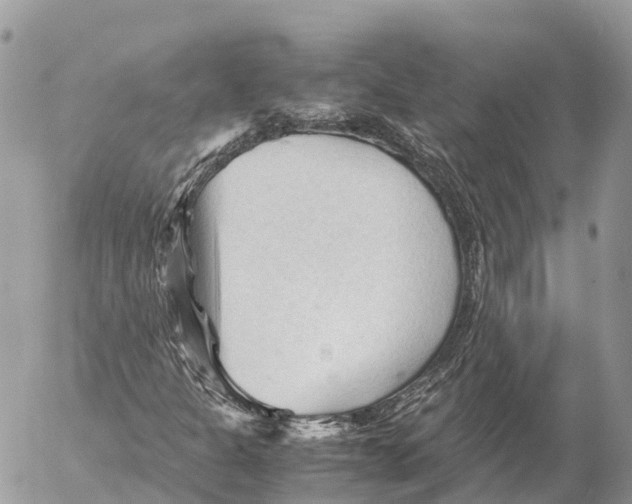 X0000053091301200508081300