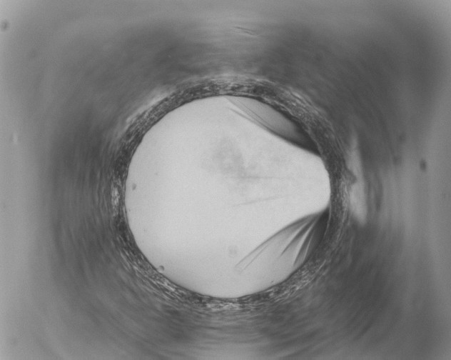 X0000053091302200508081300