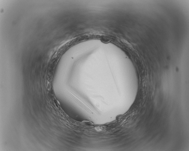 X0000053091303200508081300