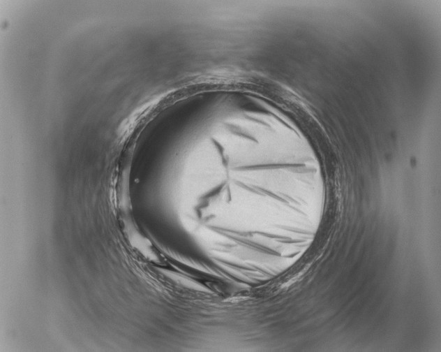 X0000053091304200508081300