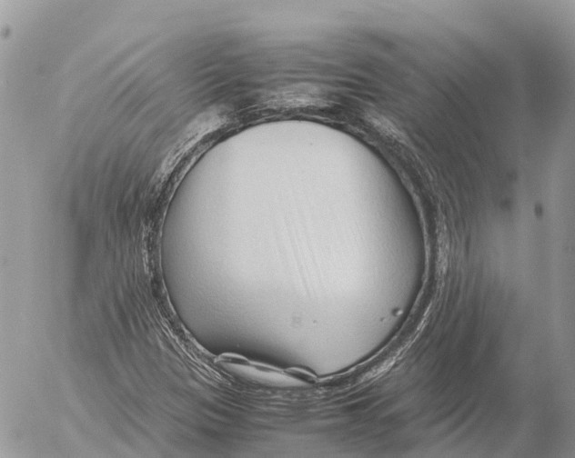 X0000053091305200508081300