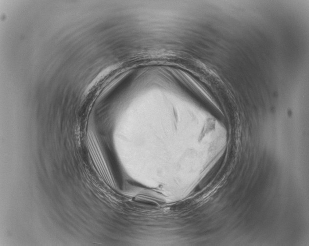 X0000053091306200508081300