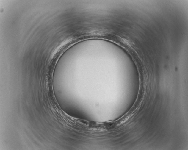 X0000053091307200508081300