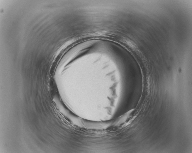 X0000053091308200508081300