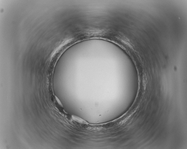 X0000053091309200508081300