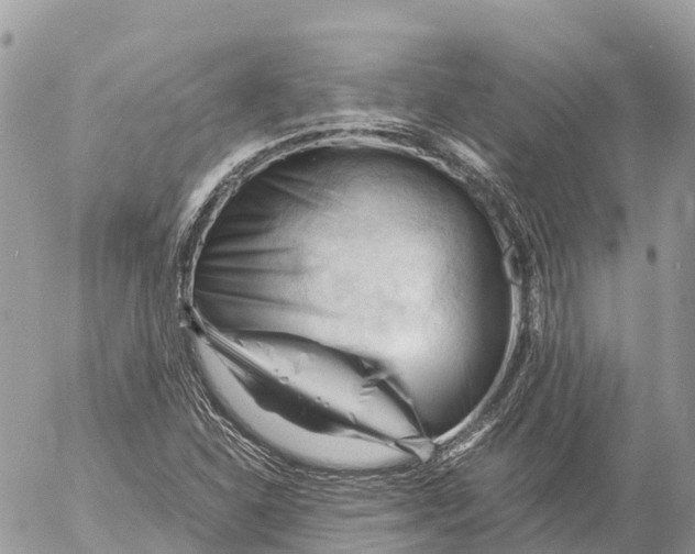 X0000053091310200508081300