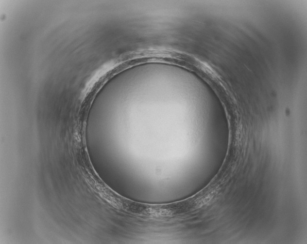 X0000053091312200508081300