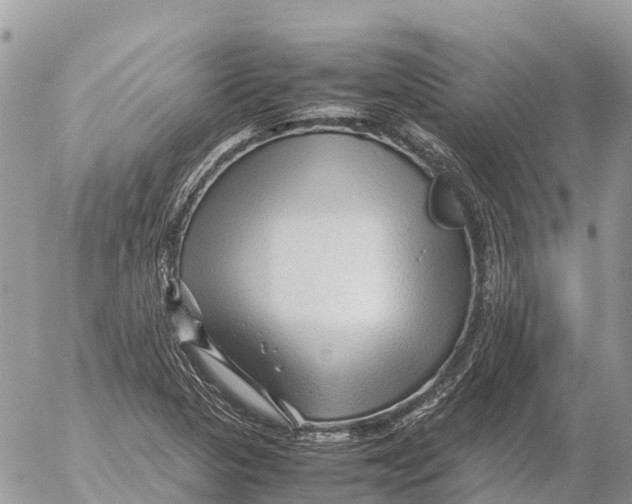 X0000053091313200508081300