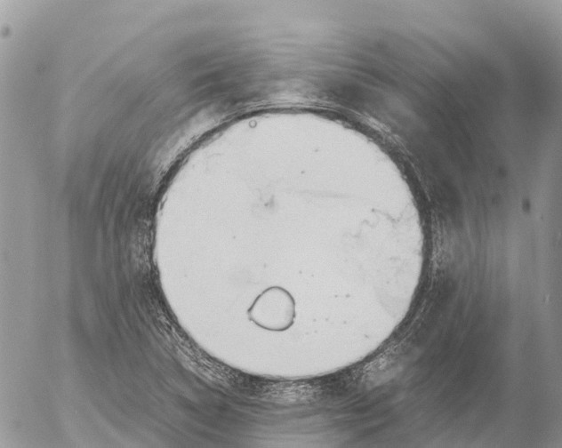 X0000053091314200508081300