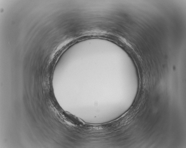 X0000053091315200508081300