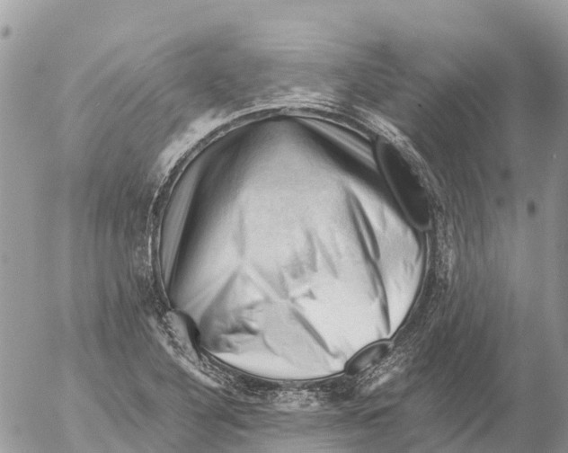 X0000053091316200508081300