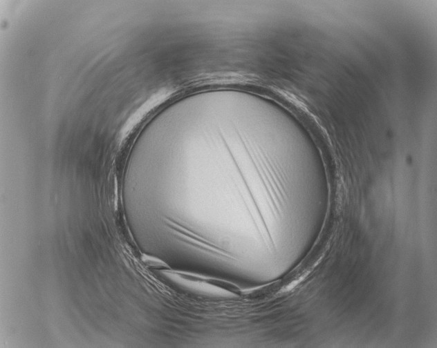 X0000053091317200508081301