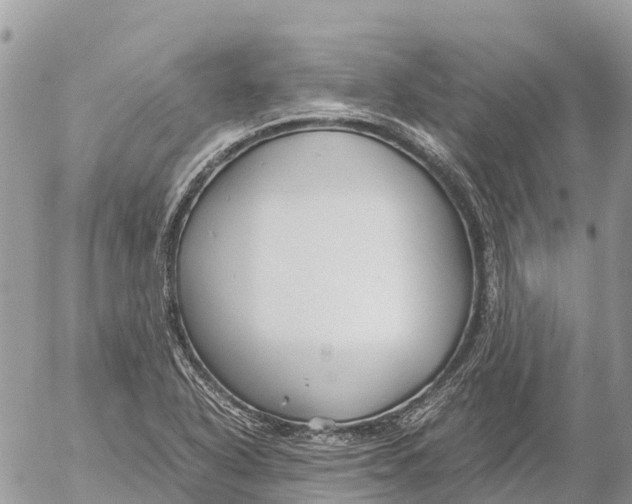 X0000053091318200508081301