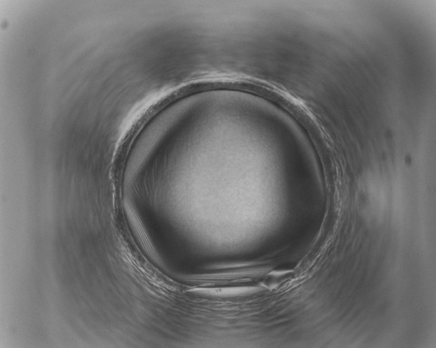 X0000053091319200508081301