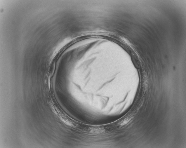 X0000053091320200508081301