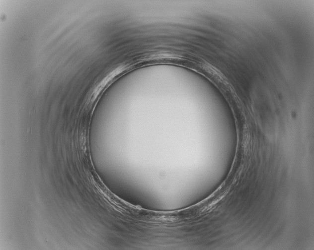 X0000053091321200508081301