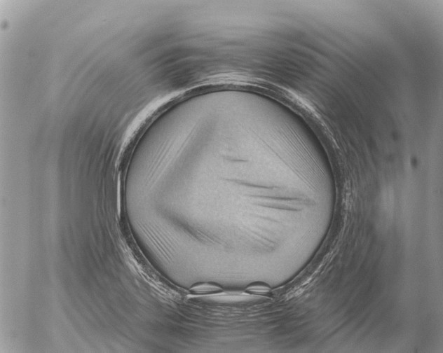 X0000053091323200508081301