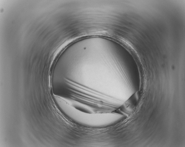 X0000053091324200508081301