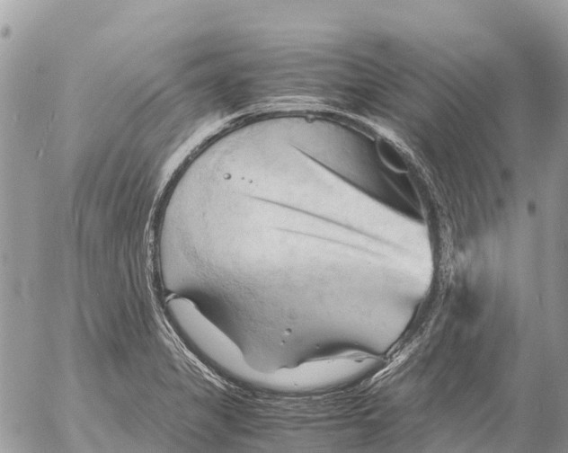 X0000053091325200508081301