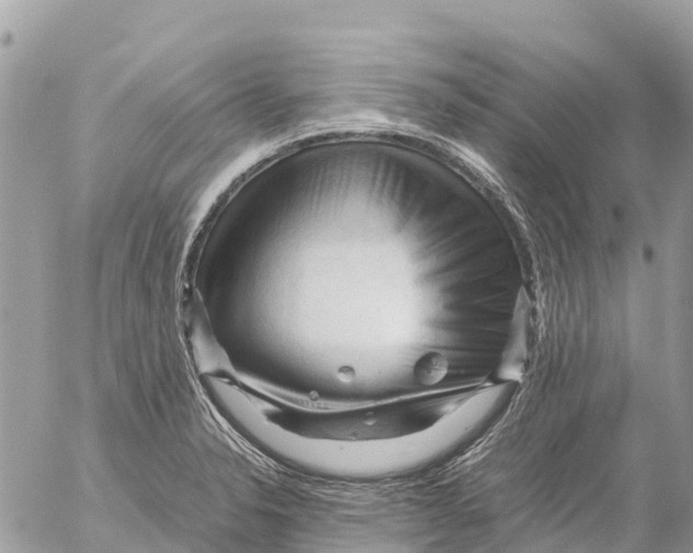 X0000053091326200508081301