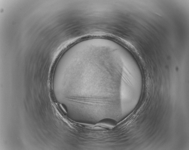 X0000053091327200508081301