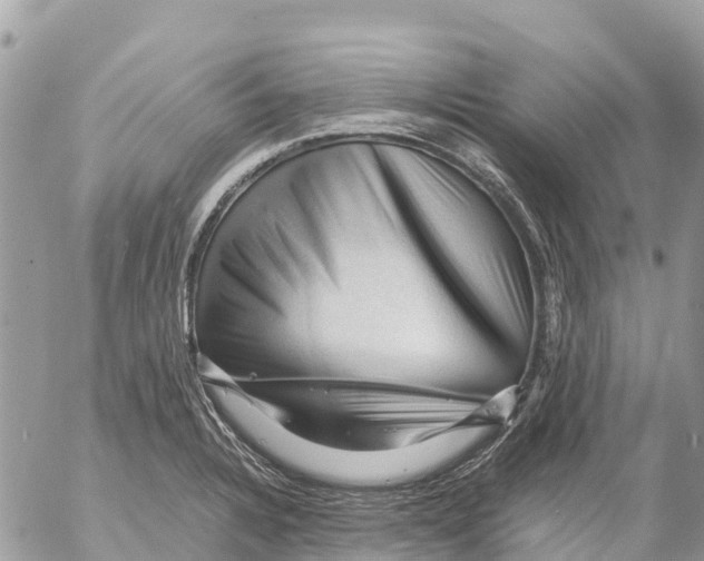 X0000053091328200508081301