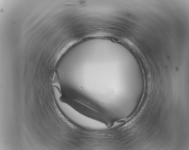 X0000053091329200508081301