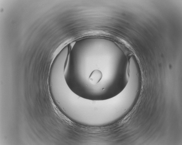 X0000053091330200508081301