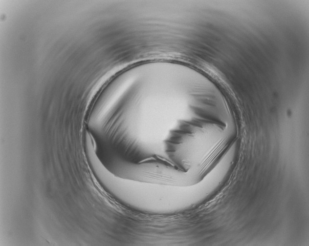 X0000053091332200508081301