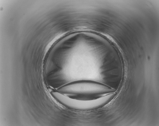 X0000053091333200508081301