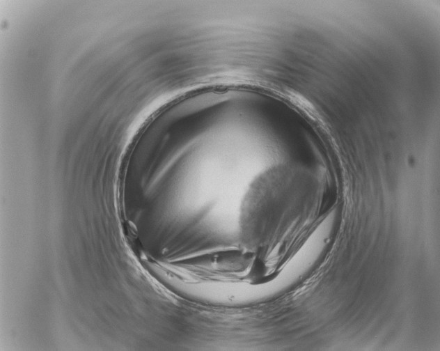 X0000053091334200508081301