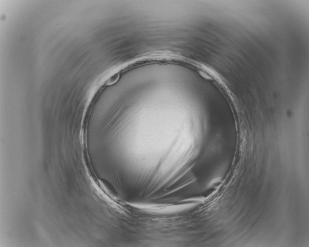 X0000053091335200508081301