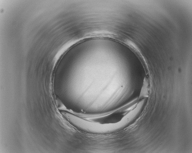 X0000053091336200508081301