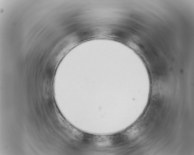 X0000053091338200508081301