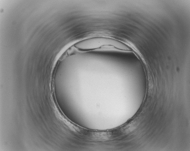 X0000053091339200508081301