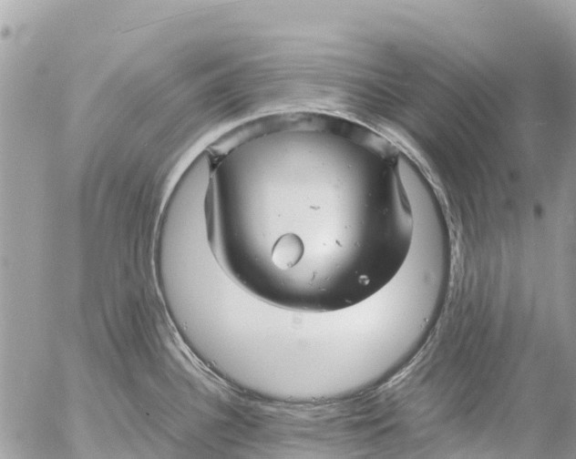 X0000053091340200508081301