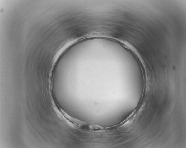 X0000053091341200508081301