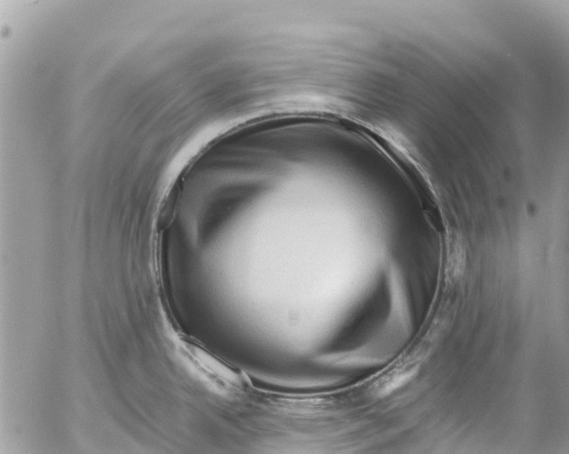 X0000053091342200508081301