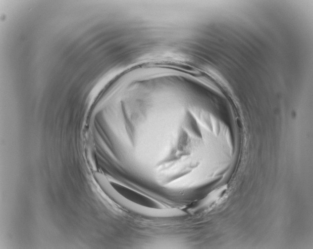 X0000053091344200508081301