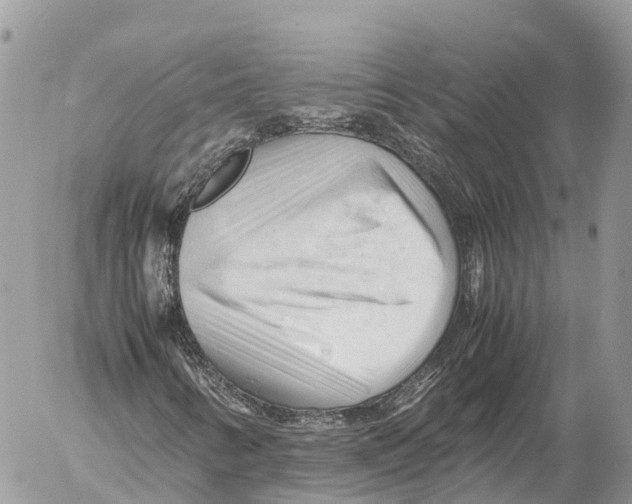 X0000053091346200508081300